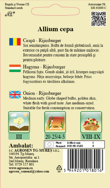 Ceapă - Rijnsburger
