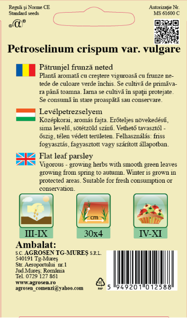 Pătrunjel frunză neted comun