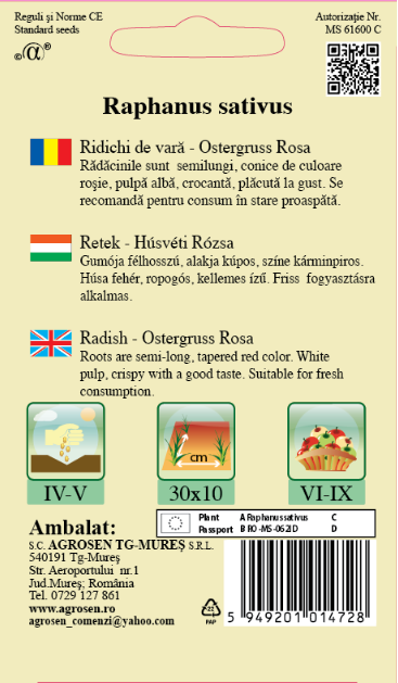 Ridichi de vară - Ostergruss Rosa