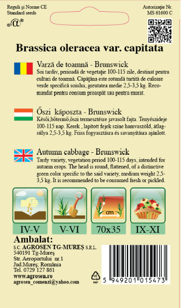 Varză de toamnă - Brunswick