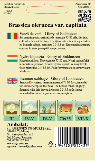 Varză de vară - Glory of Enkhuizen