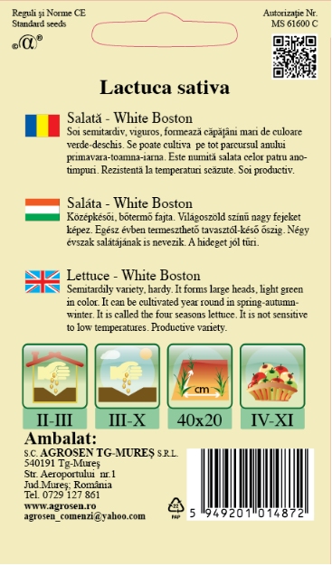 Salată - White Boston