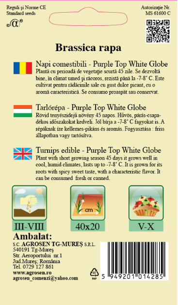Napi comestibili - Purple Top White Globe