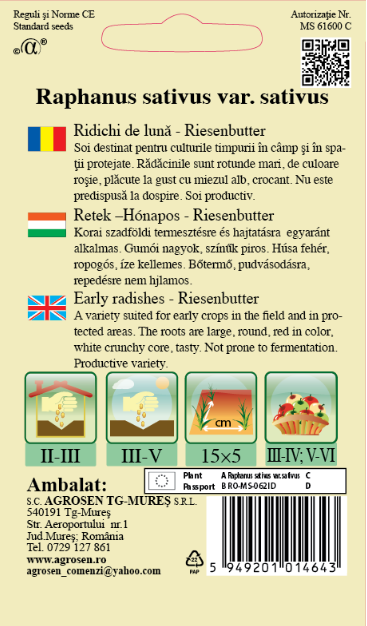 Ridichi de lună - Riesenbutter