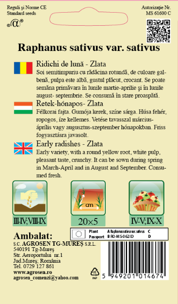 Ridichi de lună - Zlata