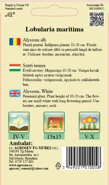 Alyssum alb