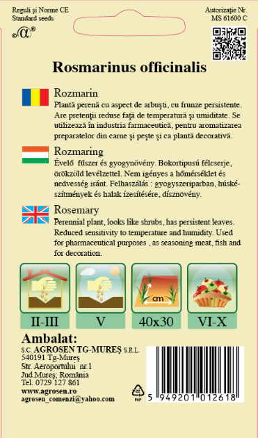 Rozmarin