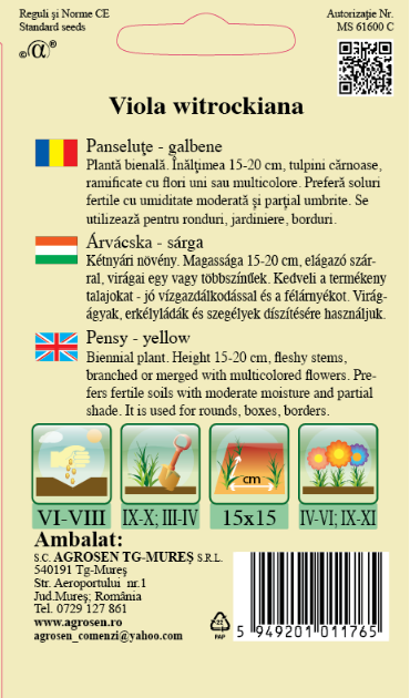 Panseluţe galbene