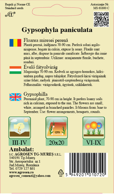 Floarea miresei perenă albă