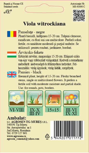 Panseluţe negre