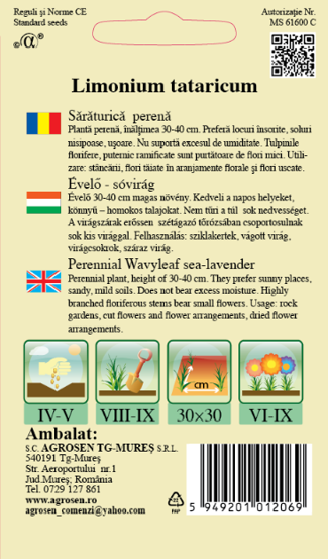 Sărăturică perenă