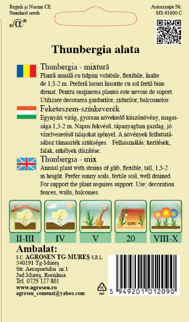 Thunbergia
