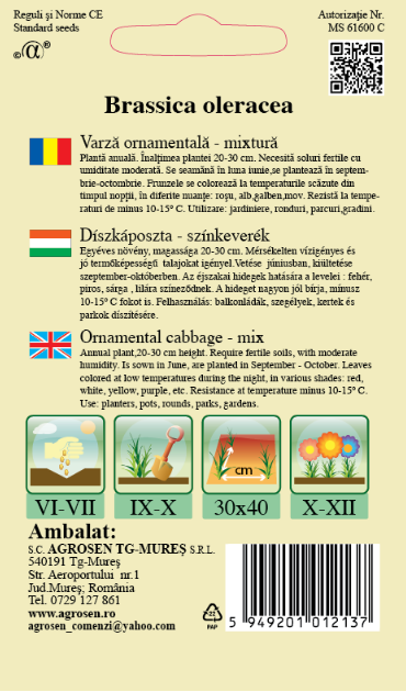 Varză ornamentală