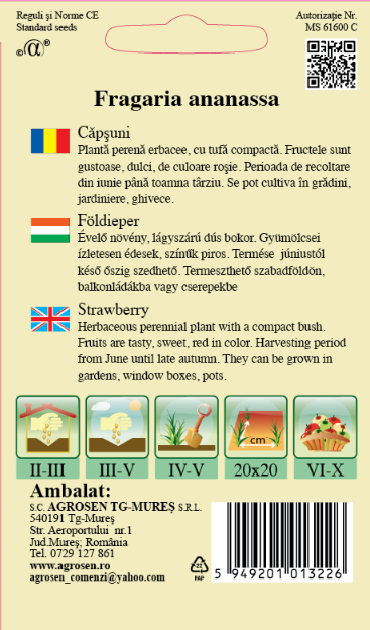 Căpșuni