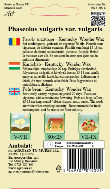 Fasole urcătoare - Kentucky Wonder Wax