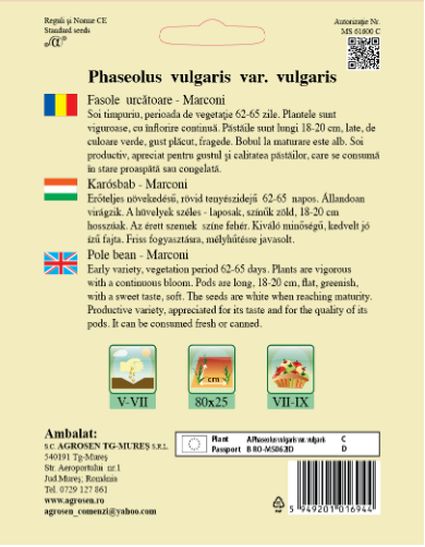 Fasole urcătoare - Marconi