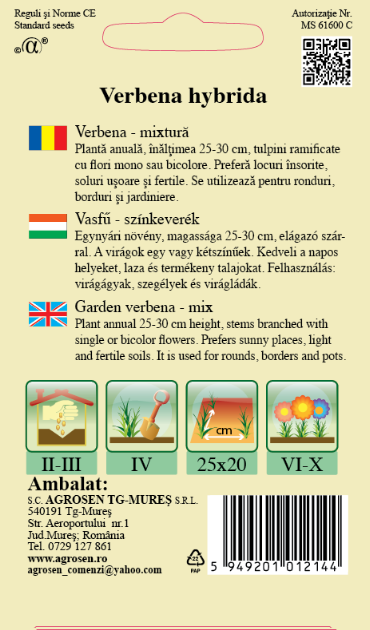 Verbena