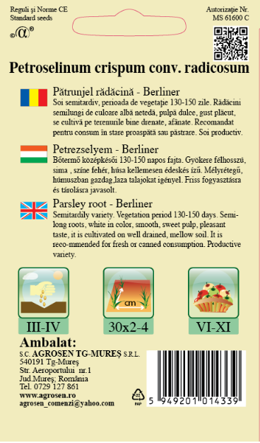 Pătrunjel rădăcină - Berliner