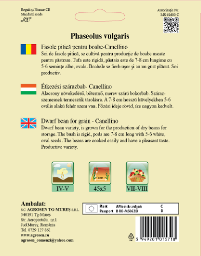 Fasole pitică pentru boabe - Canellino