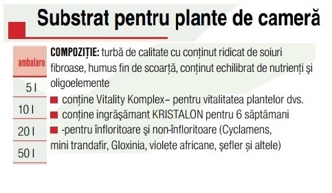 Substrat plante cameră/apartament - AGROCS