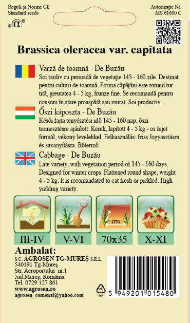 Varză de toamnă - Buzoiana