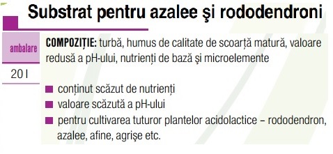 Substrat azalee si rododendroni - AGROCS