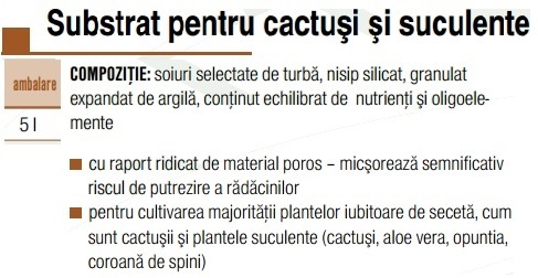 Substrat cactuși/plante suculente - AGROCS