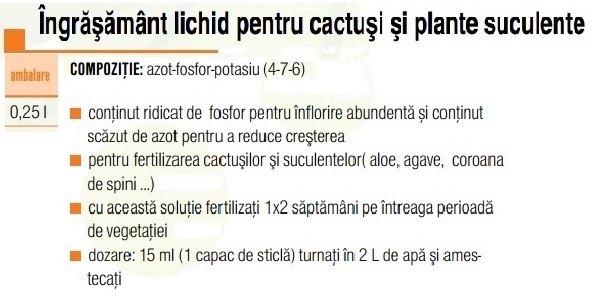 Ing.Cactus - AGROCS