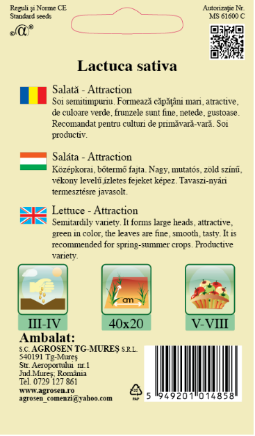 Salată - Attraction
