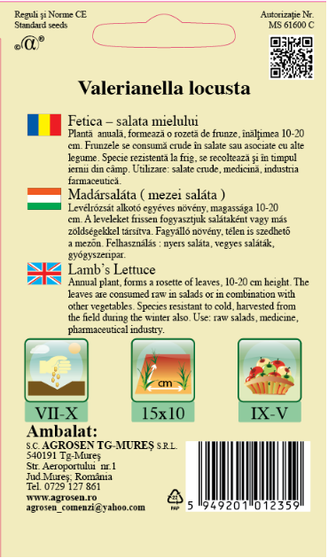 Fetică - Salata mielului