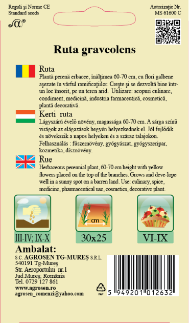Rută
