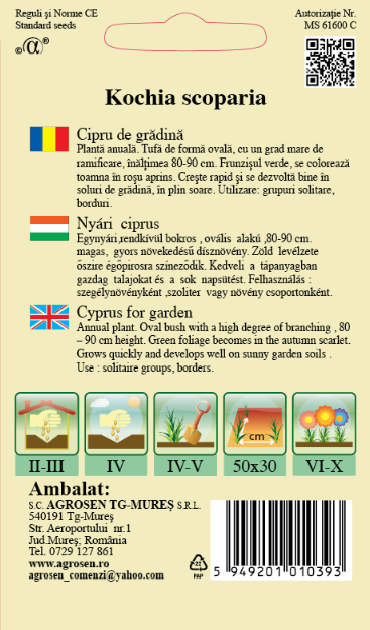 Cipru de grădină