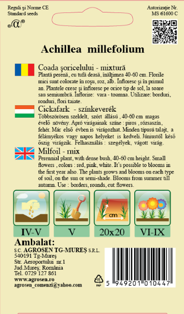 Coada șoricelului