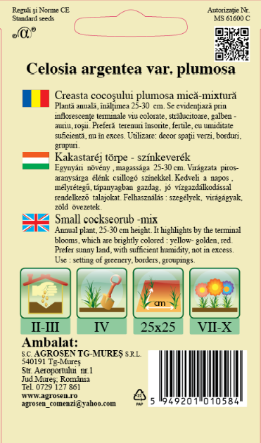 Creasta cocoșului plumosa mică