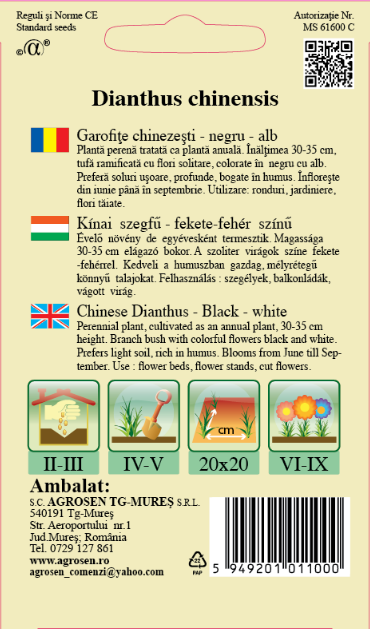 Garofițe chinezești Black-White