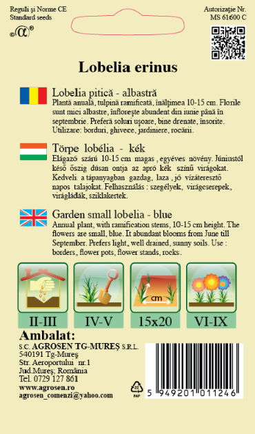 Lobelia pitică albastră