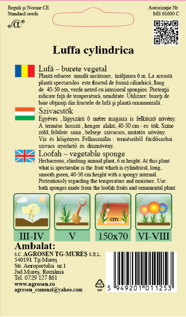 Lufă