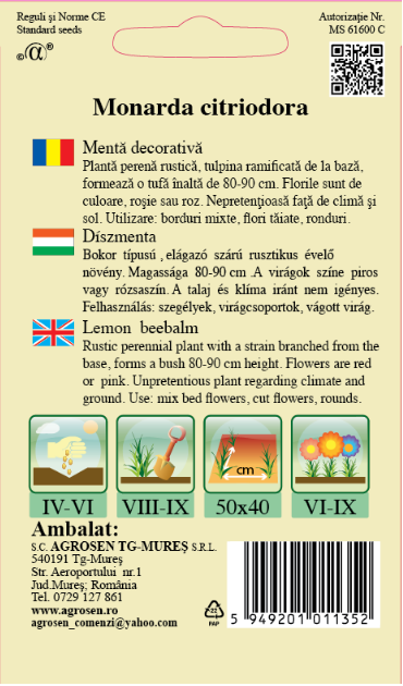 Mentă decorativă