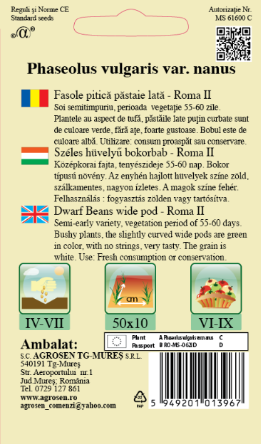 Fasole pitică - Roma II