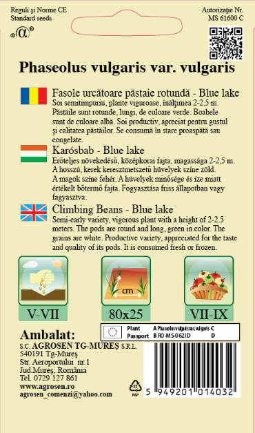 Fasole urcătoare - Blue Lake