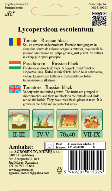 Tomate - Russian black