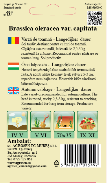 Varză de toamnă - Langedijker dauer