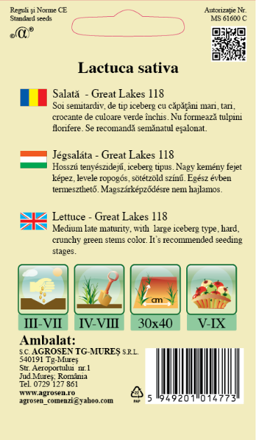 Salată iceberg - Great Lakes 118