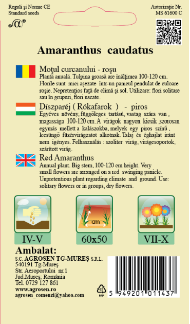 Moțul curcanului
