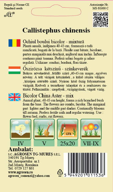 Ochiul boului - bicolor