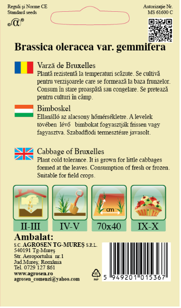 Varză de Bruxelles