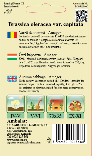 Varză de toamnă - Amager