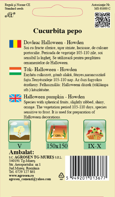 Dovleac Halloween-Howden