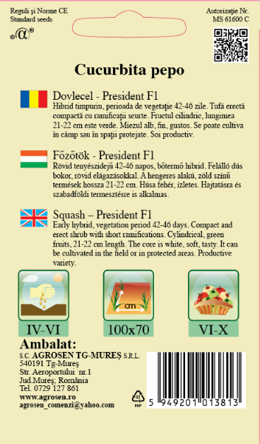 Dovlecel Zucchini - President F1