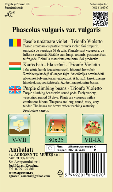 Fasole urcătoare -Trionfo Violetto
